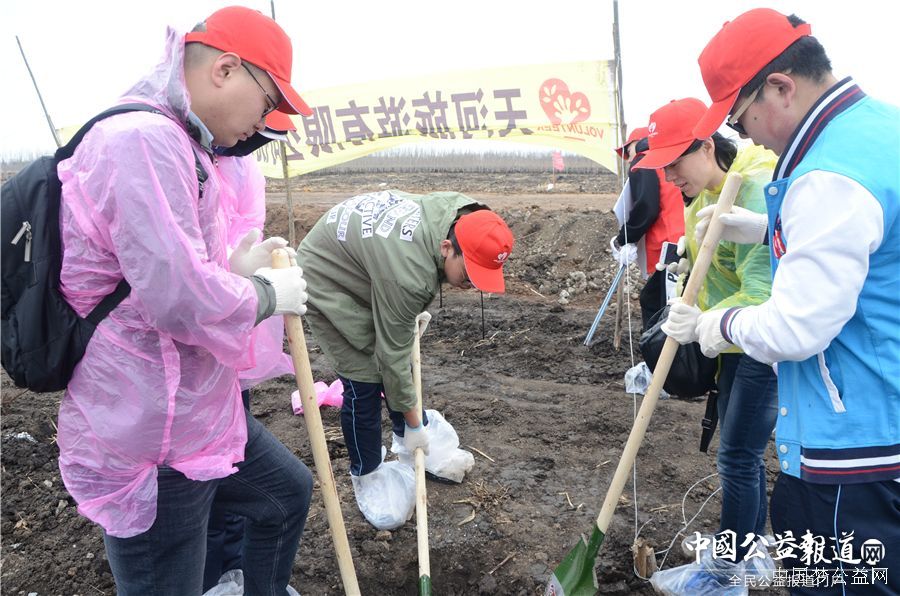 中欧手机版app,中欧（中国）圆满完成“保护青山绿水_共建大美龙江”千人公益植树志愿服务工作