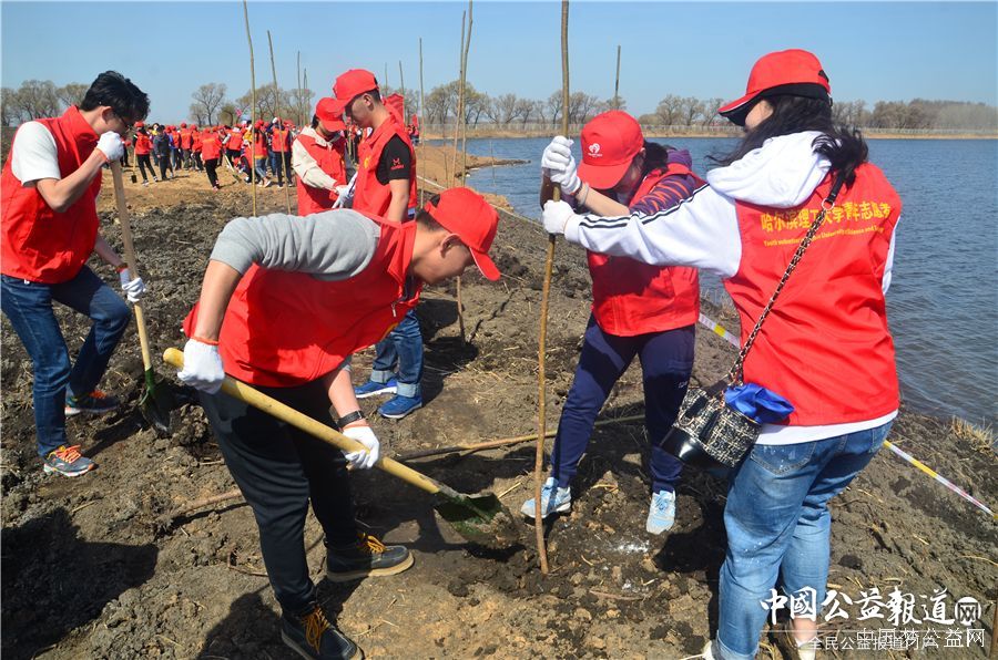 中欧手机版app,中欧（中国）圆满完成“保护青山绿水_共建大美龙江”千人公益植树志愿服务工作